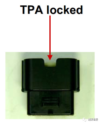 0 (21).jpg